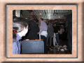 108-0894_IMG.JPG